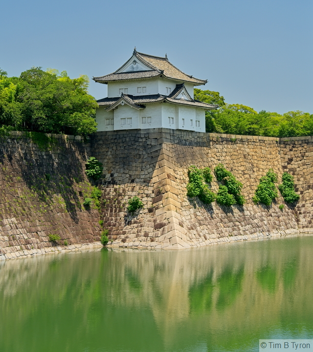 _A743480.jpg